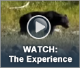 Watch: The Experience